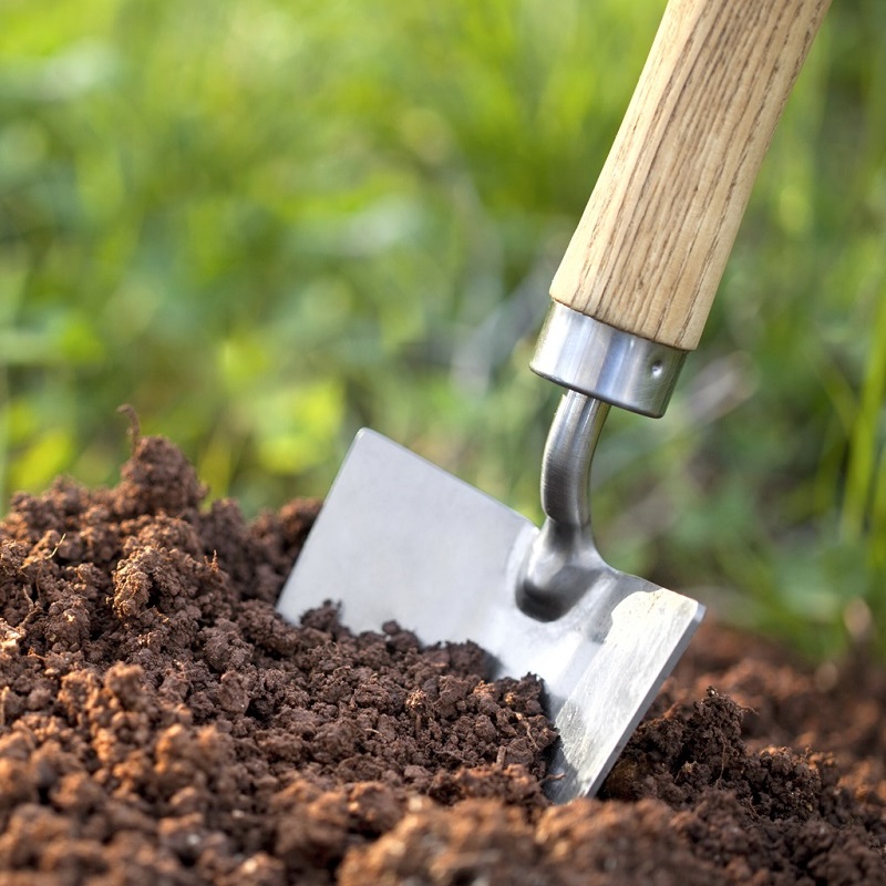 بررسی بهترین نوع‌های خاک برای کشاورزی ایده‌آل - سناپالیز