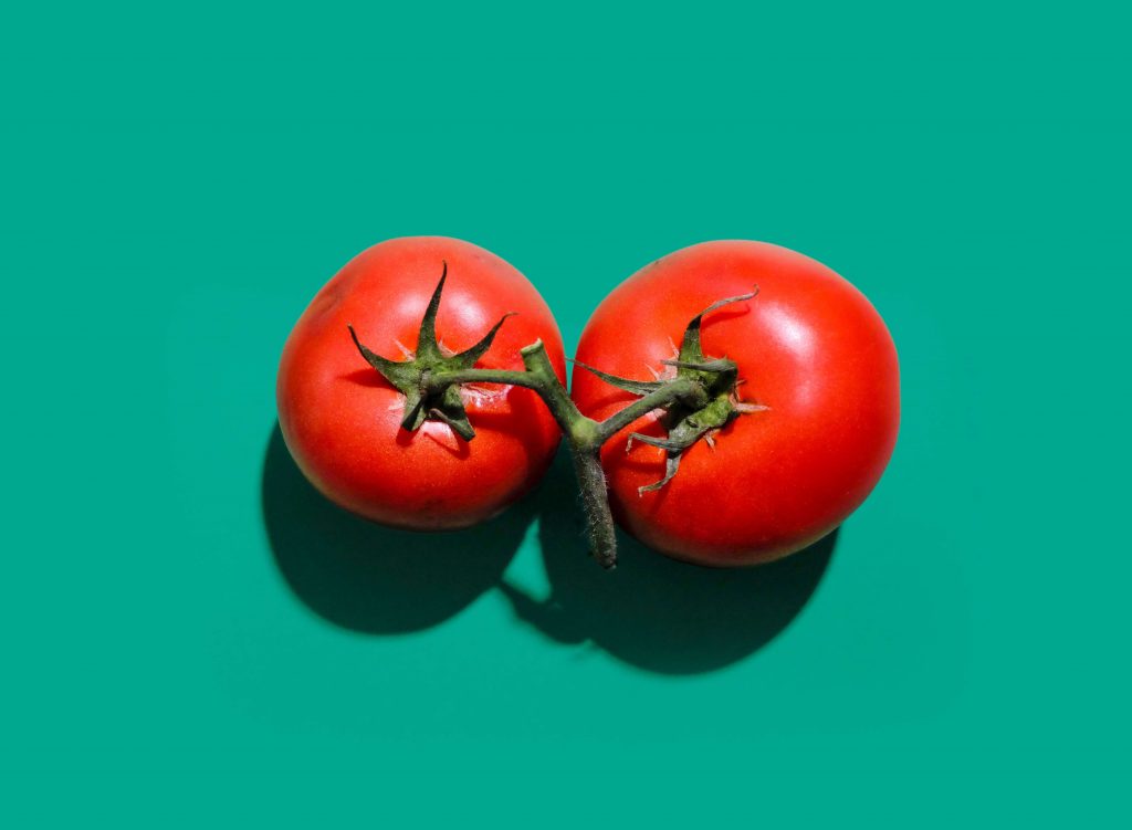 گوجه فرنگی هیدروپونیک - سناپالیز